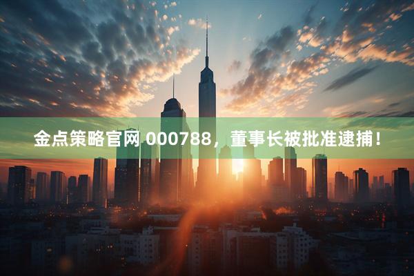 金点策略官网 000788，董事长被批准逮捕！