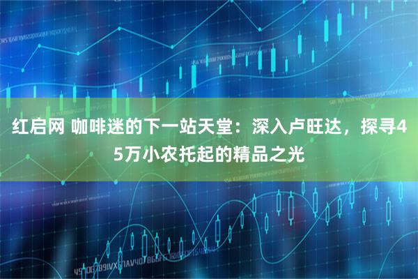 红启网 咖啡迷的下一站天堂：深入卢旺达，探寻45万小农托起的精品之光